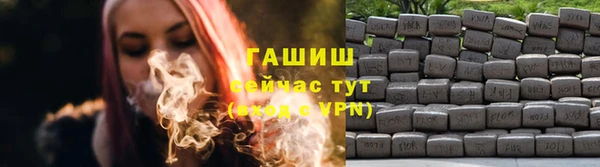 PSILOCYBIN Дмитриев
