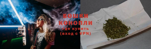эйфоретик Гусев