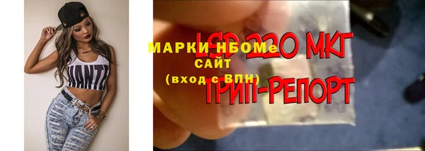 сатива Дмитров