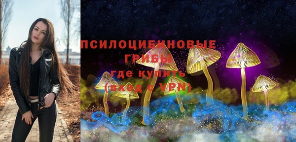эйфоретик Гусев