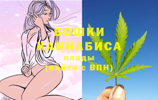 PSILOCYBIN Дмитриев