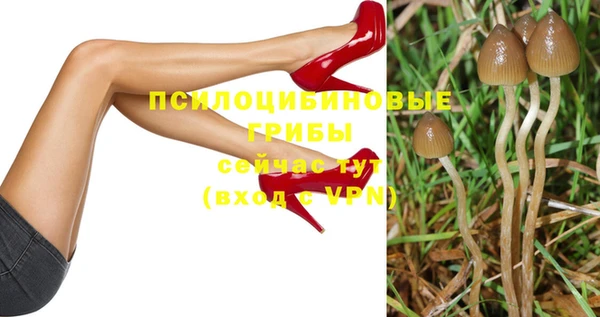 эйфоретик Дмитровск
